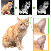 Spatio-temporally Coherent Interactive Video Object Segmentation via Efficient Filtering