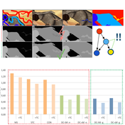 Towards Perceptually Coherent Depth Maps in 2D-to-3D Conversion