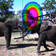 Automatic Analysis of Elephant Vocalizations
