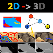 Temporally Coherent Cost Volume Filtering-based Depth Propagation in Videos